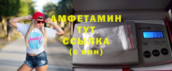 гидра Болотное