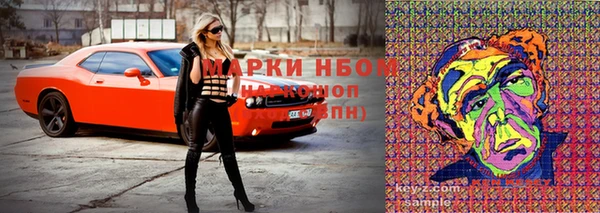 индика Болохово