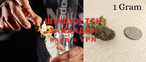 гидра Болотное