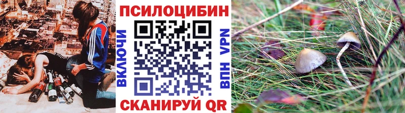 Галлюциногенные грибы ЛСД  блэк спрут как войти  Губкинский  наркотики 
