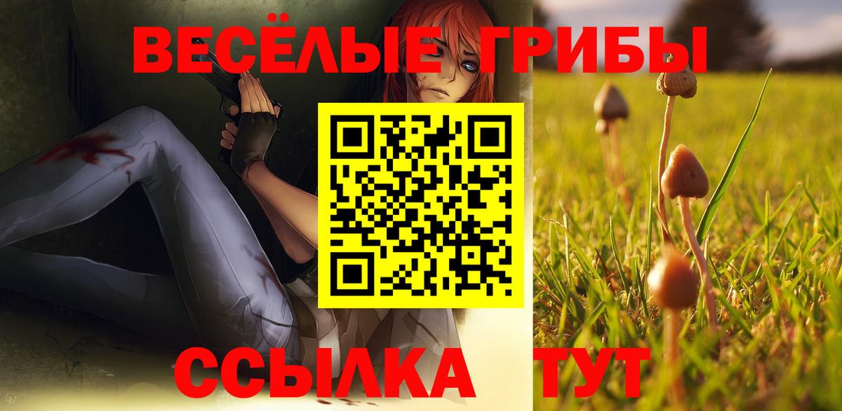 Галлюциногенные грибы Psilocybe Губкинский
