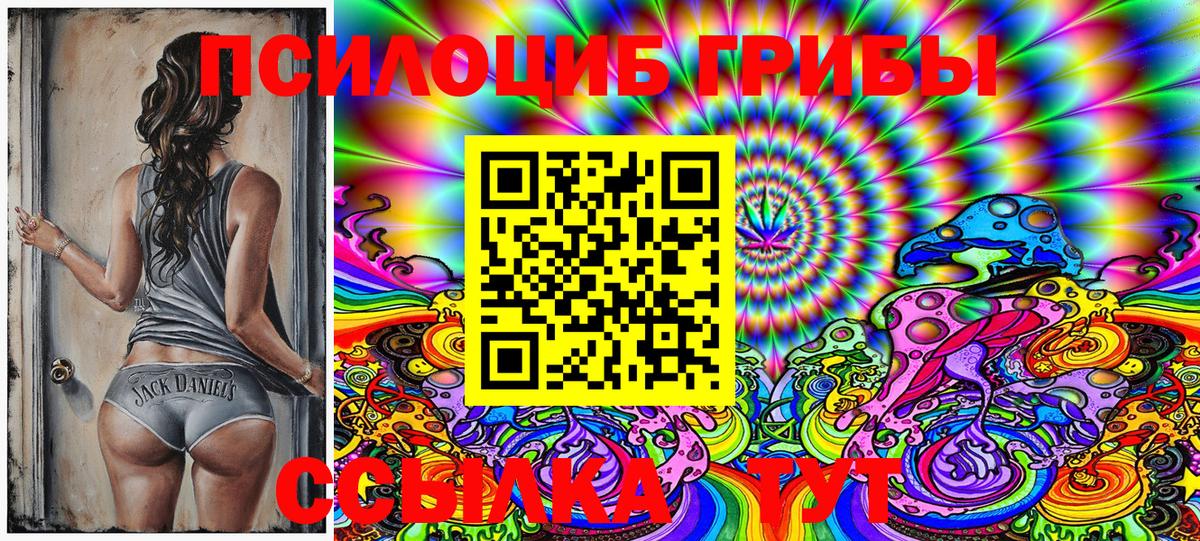 Галлюциногенные грибы Psilocybe  Вход с VPN  Губкинский 